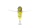Sight Clear Insect