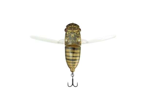 Hibara Spring Cicada