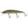 HS Ghost Minnow