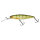 Perch