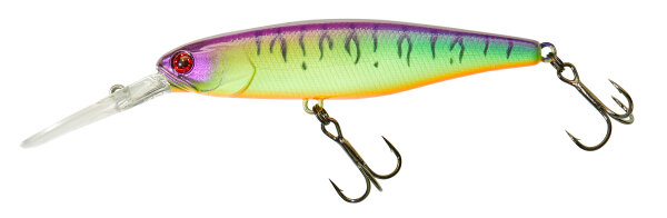 Table Rock Tiger
