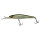 HS Ghost Minnow