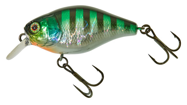 HL Sunfish