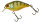Aggressive Perch
