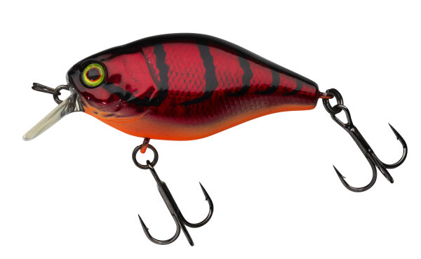 Aurora red Craw