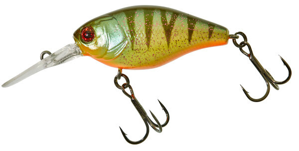 Aggressive Perch