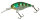 HL Sunfish