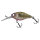 Dying Blue Gill