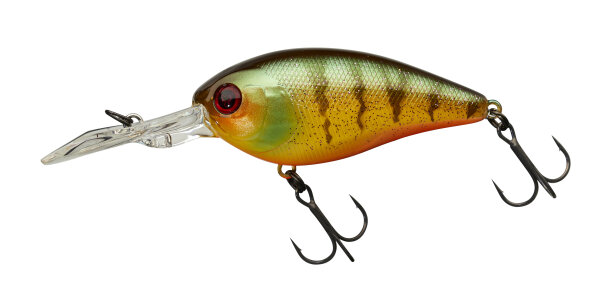 Aggressive Perch