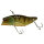 Perch