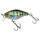 HL Sunfish