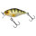 Perch