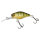 Perch