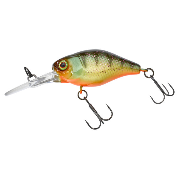 Aggressive Perch