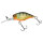 Aggressive Perch
