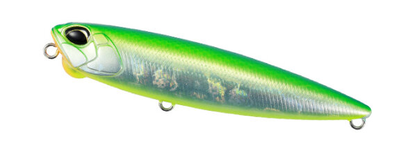 Citrus Shiner