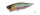 Ghost Minnow