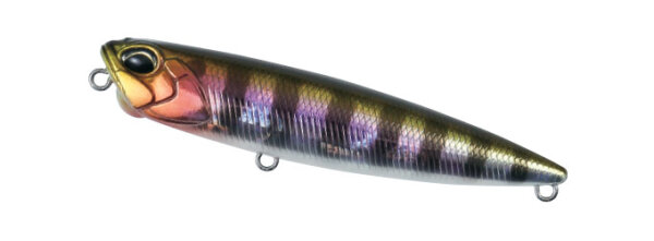 Prism Gill