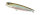 Ghost Minnow