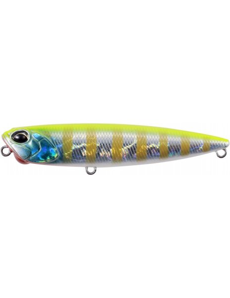 Funky Gill DM