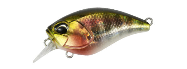 Prism Gill