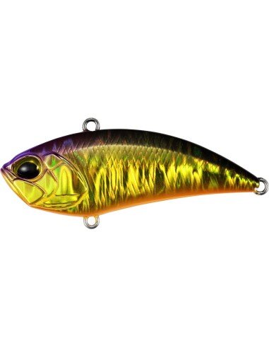 Kohoku Purple Inkuro