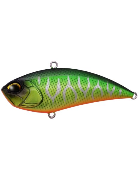 Lime Tiger