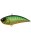 Lime Tiger