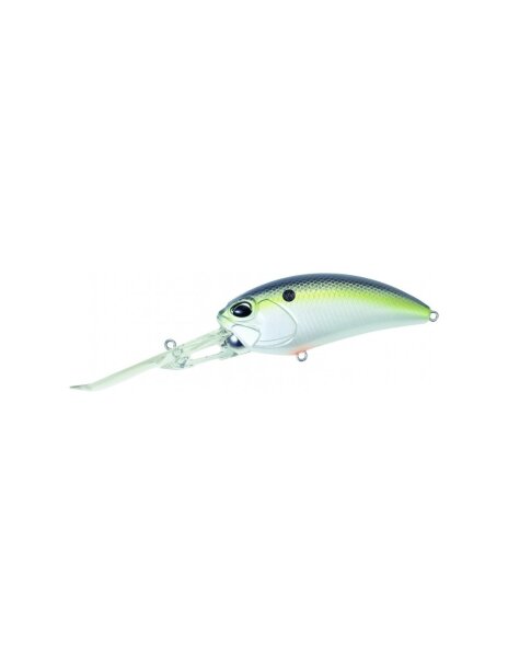 American Shad