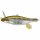 HT IL TENNESSEE SHAD