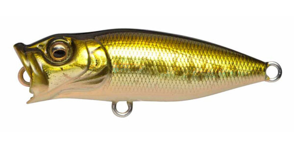 GG BASS