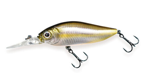 (SP-C) FA STRIPED SHINER