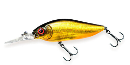 (SP-C) GC MEGABASS KINKURO