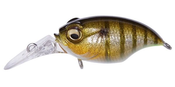 GLX GALAXY GILL