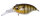 GLX GALAXY GILL