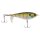 MF Bluegill
