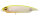 SW SS PM HOT SHAD
