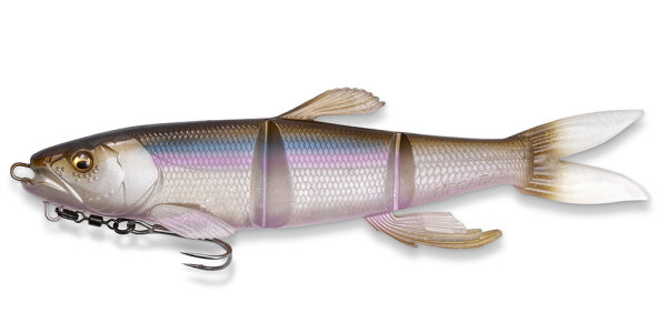 BLUE SHAD Ⅱ