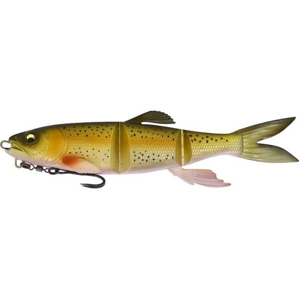 RAINBOW TROUT