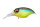MEGABASS BREAM