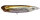 Megabass NEW DOG-X QUICK WALKER / 8.7cm