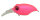 KILLER PINK
