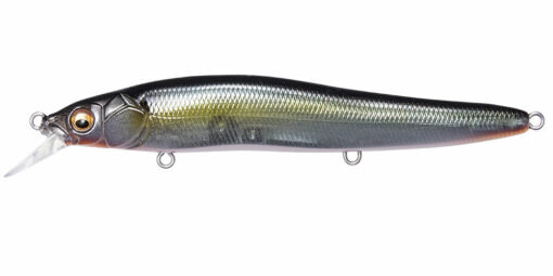 JUKUCHO SHAD
