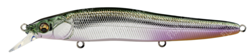 (SP-C) M SHAD