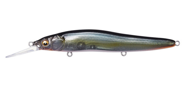 JUKUCHO SHAD