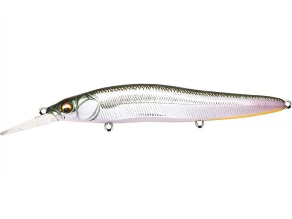 (SP-C) M SHAD