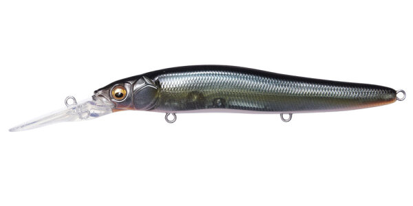 JUKUCHO SHAD
