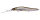 M STARDUST SHAD II