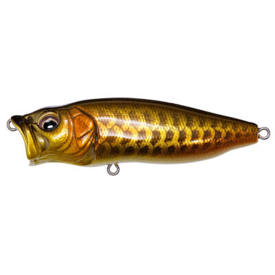 (SP-C) DRAGON FISH G