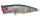 Megabass POPPING DUCK / 6cm